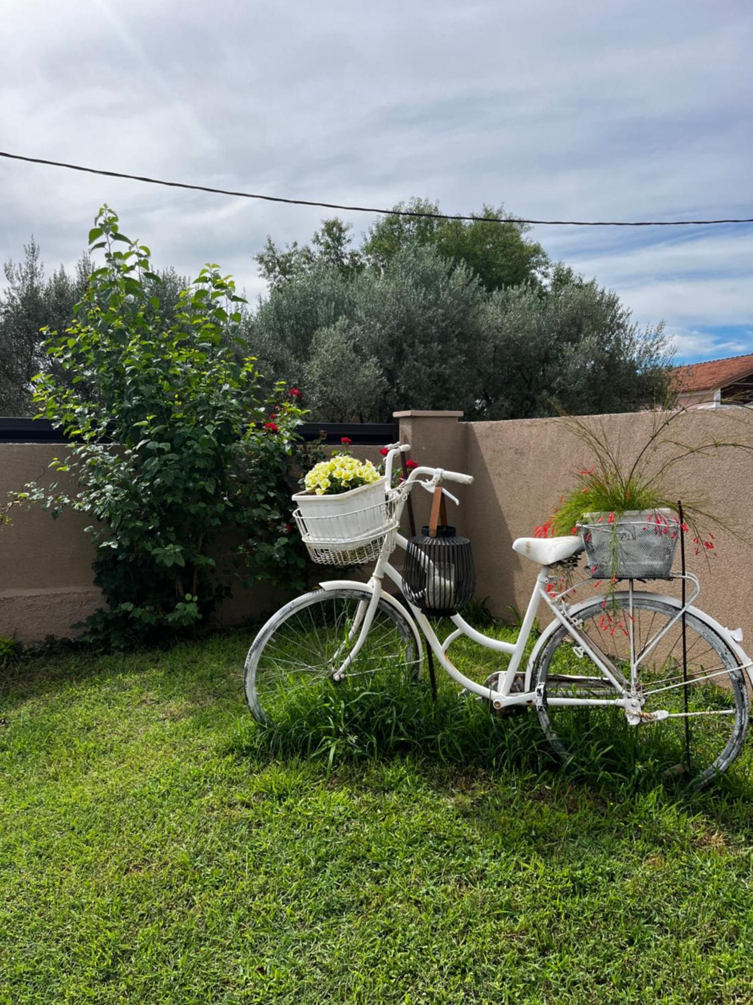 Apartman Marta Zadar Exterior photo